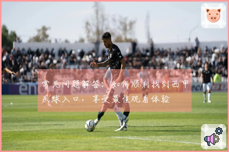 常见问题解答：如何顺利找到西甲买球入口，享受最佳观看体验