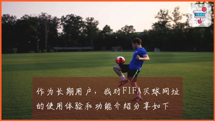 作为长期用户，我对FIFA买球网址的使用体验和功能介绍分享如下