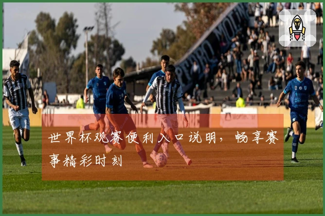世界杯观赛便利入口说明，畅享赛事精彩时刻