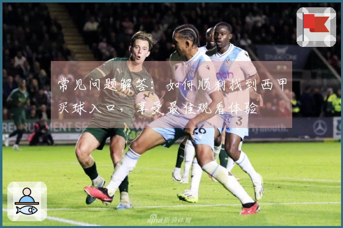 常见问题解答：如何顺利找到西甲买球入口，享受最佳观看体验